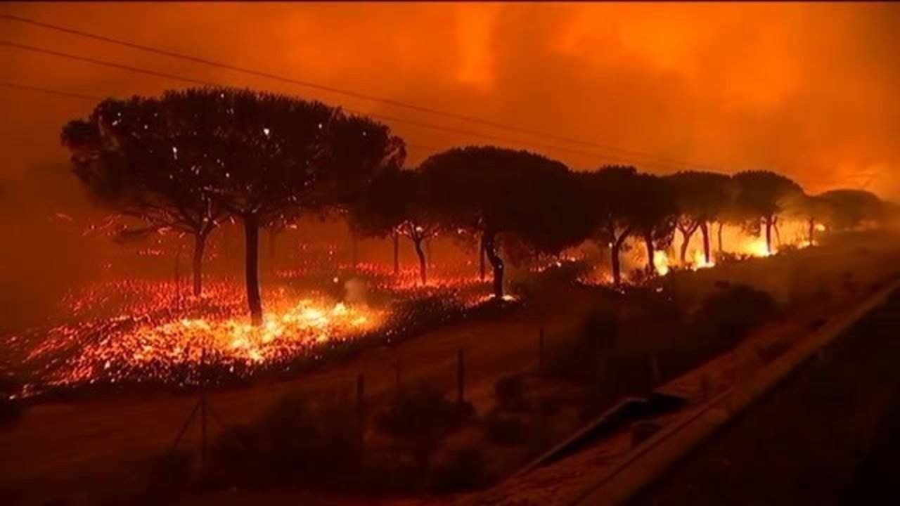 Incendio en el entorno de Doñana