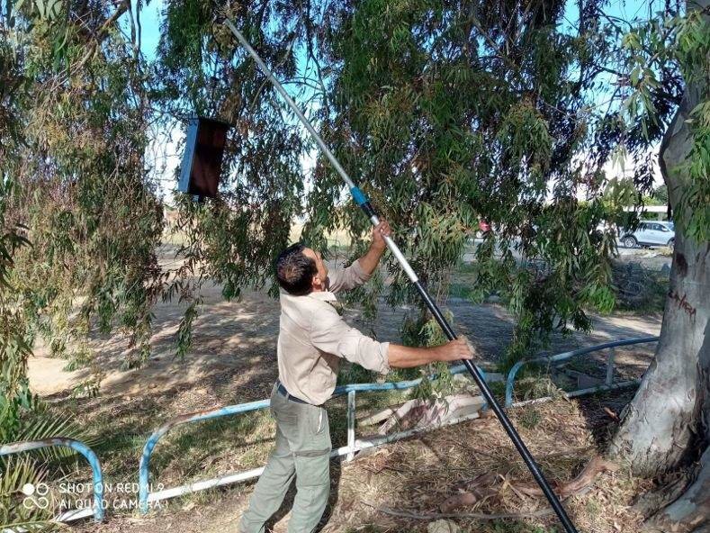 Trabajos de control de mosquitos