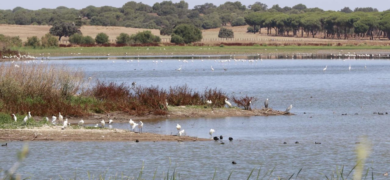 Zona de cría de aves