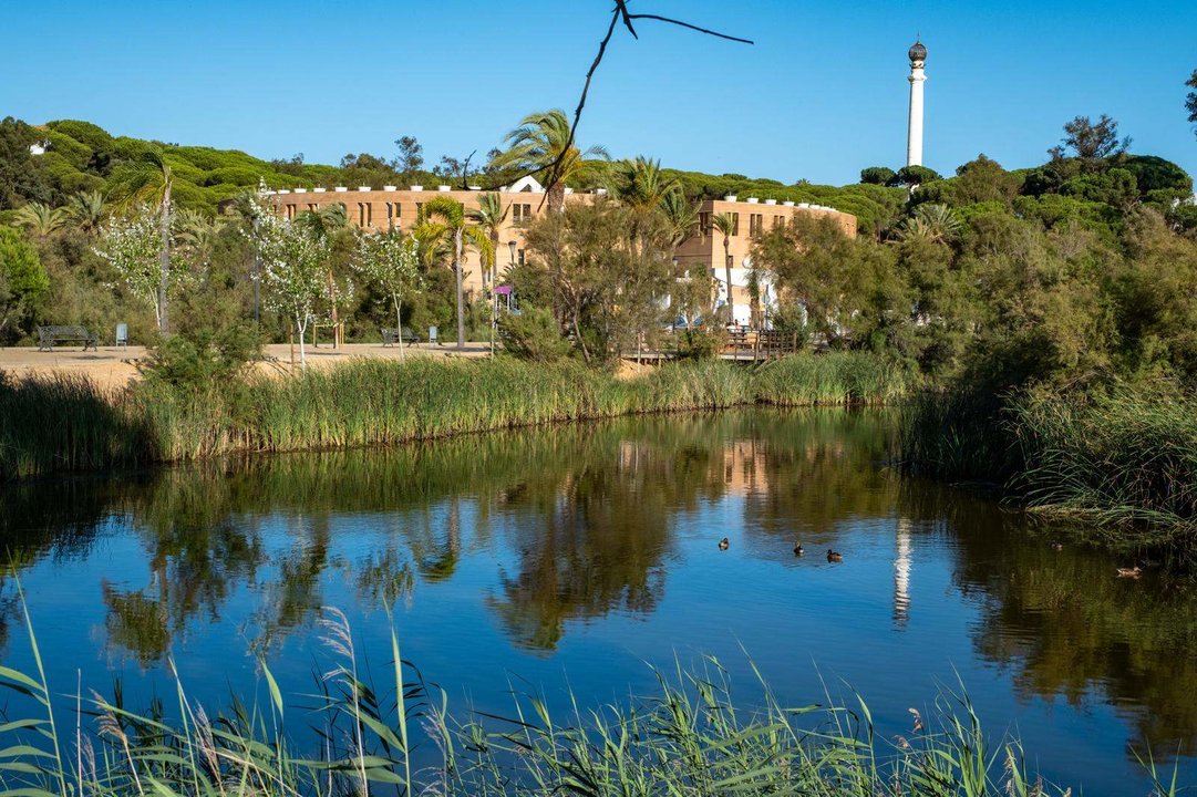 Laguna de La Rábida