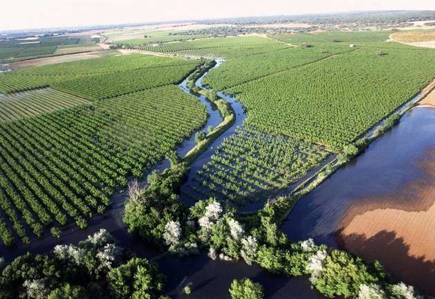 Zona agrícola en la cuenca