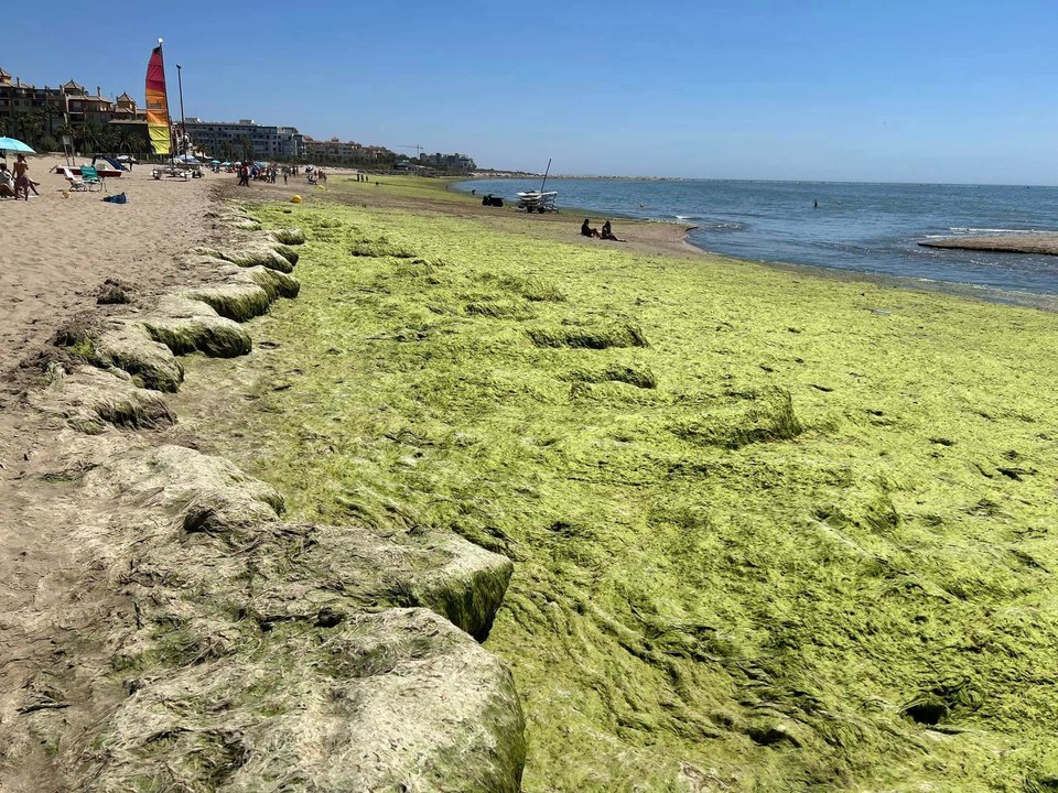 Playa de Canela