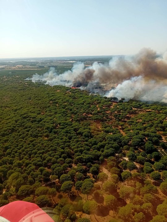 Zona afectada por el fuego