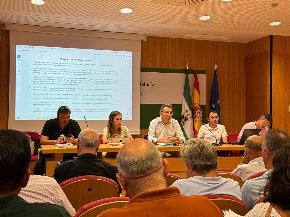 Comité de Gestión de la Demarcación Hidrográfica que gestiona la JUnta de Andalucía