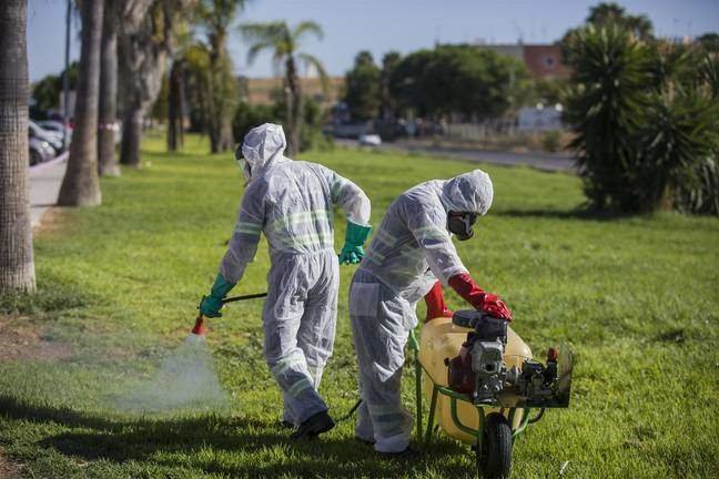 Fumigaciones de urgencia