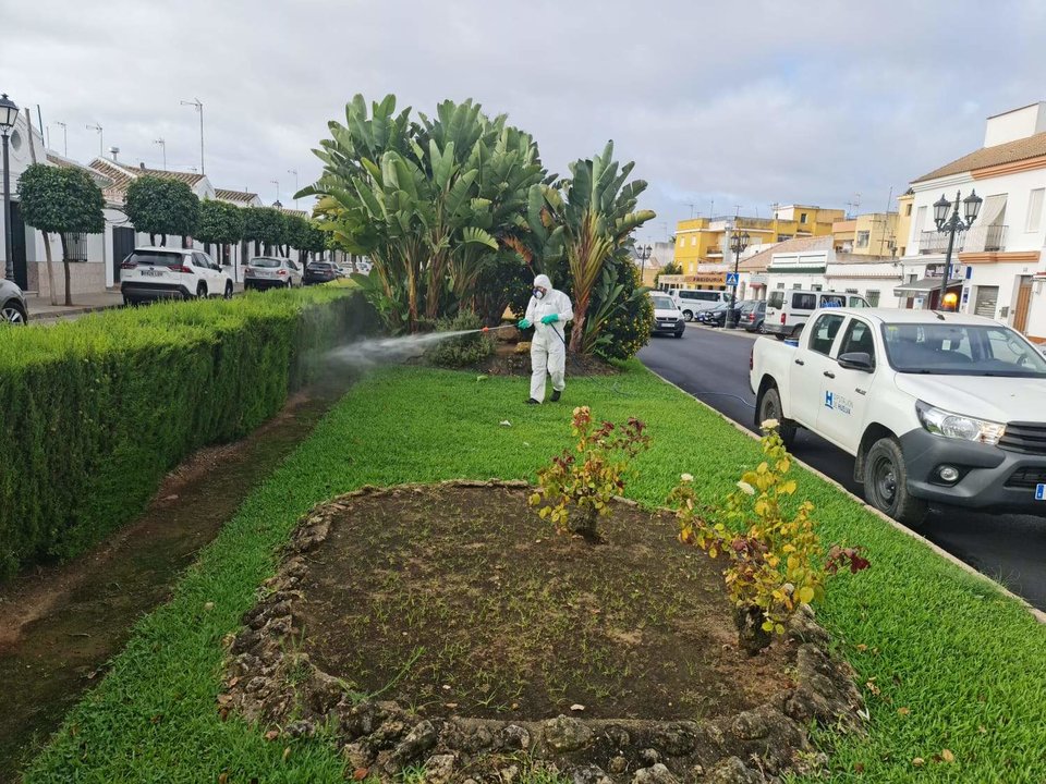 Fumigaciones en Huelva