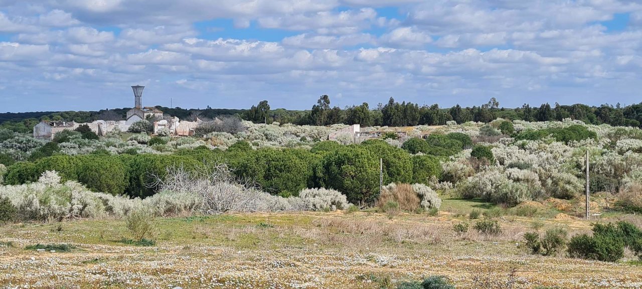 Zona que ocupará el proyecto de El Rompido Este, de Loiola