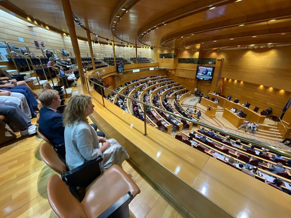 Pilar Miranda, en el Senado