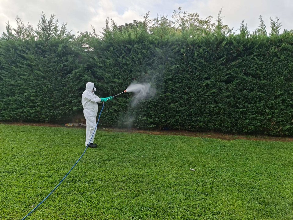 Fumigación en un área afectada