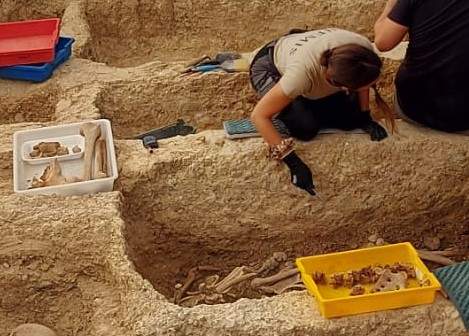 Trabajos de exhumación de este verano en la fosa de La Soledad